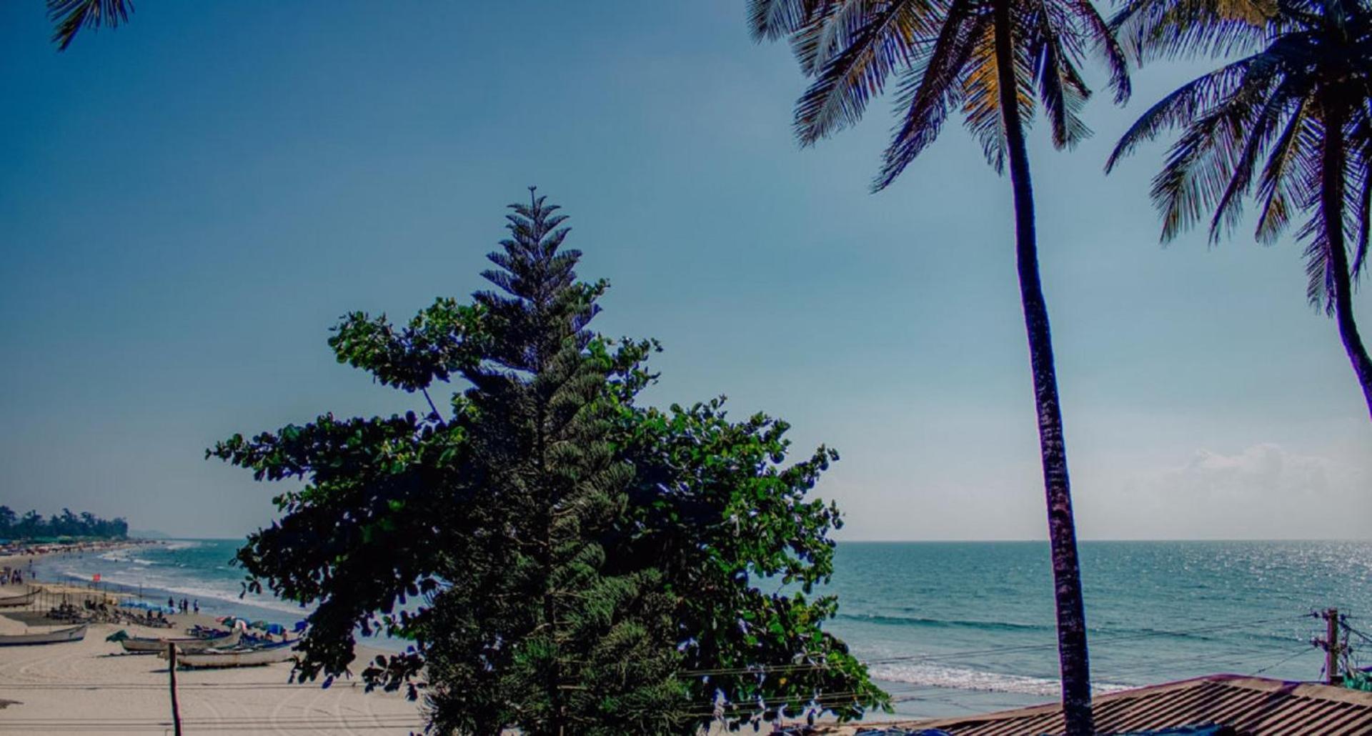 This Is It Beachfront - Rooms, Cafe & Events أرامبول المظهر الخارجي الصورة